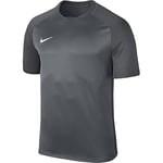 NIKE Nikyg Men Dry Team Trophy III Football Jersey - Cool Grey/Dark Grey/Dark Grey/White, Small