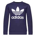 adidas Originals Genser Crewneck Adicolor Classics Trefoil - Blå/Hvit Barn Treningsgenser unisex