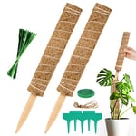 Vicloon Tuteur Plante, 2pcs Tuteur Coco, 40cm Grimpante Pliable pour Plante Monstera Extension et Support pour Maison Jardin de Support de Plante