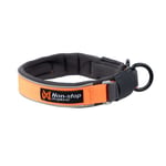 Non-Stop Dogwear Protector Collar 45cm