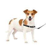 PetSafe Harnais Easy Walk avec boucle Anti-Traction et laisse de 1,8 m, promenade confortable pour vous et lui - 4 points de Réglage – Résistant, facile à mettre et enlever – Noir, taille S