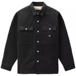 Veste Dickies  DUCK CANVAS  SHACK