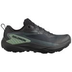 Salomon Genesis GTX Men Black/Agave Green/Urban Chic UK 12/EU 47 1/3 - Fri frakt