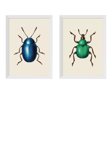 EAST END PRINTS Natural History Museum 'Beetles' Framed Print, Set of 2