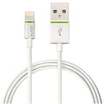 Leitz Câble, Lightning vers USB, 30cm, Certififié Apple, Complete, Blanc, 62090001