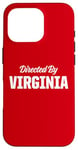 iPhone 16 Pro My Name Is Virginia Funny Name Tag Case