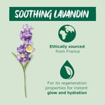 Organic Soothing Lavandin Glow Facial Oil Healthy Smooth And Glowing Skin, 30ml