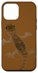 iPhone 12 mini Mediterranean House Lizard Vector Case