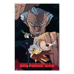 Grupo Erik Poster One Punch Man Garou - 36 x 24 pouces / 91,5 x 61 cm - Expédié enroulé - Affiches et impressions - Affiches murales