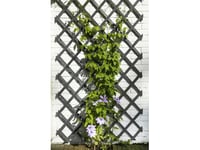 Nature Nature Hage Espalier, 50X150 Cm, Tre, Antrasitt Lumarko!