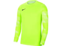 Nike Dry Park Iv Jsy Ls Gk Junior Lime Goalkeeper Sweatshirt Cj6072 702 Xl