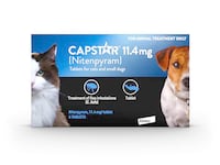 Capstar Flea Tablets for Dogs and Cats from 1kg to 11kg, Oral Medication for Flea Treatment in Small Dogs and Cats, Contains 6x 11.4mg Nitenpyram Flea Tablet