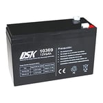 DSK 10369 Batterie au Plomb Rechargeable AGM scellée 12 V 6 Ah Idéale pour Les Voitures et Les Motos électriques pour Enfants, Scooters, systèmes UV, systèmes de sécurité et de Communication..