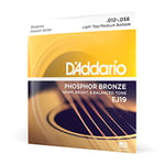 D'Addario Guitar Strings - Phosphor Bronze Acoustic Guitar Strings - EJ19 - Superb, Long Lasting Tone, Comfortable Playability - For 6 String Guitars - 12-56 Light Top/Medium Bottom Bluegrass