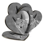 4x Heart MDF Coasters - BW - Black Backed Jackal Animal  #35252