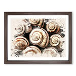 Snail Shells 3 Modern FC Framed Wall Art Print, Ready to Hang Picture for Living Room Bedroom Home Office Décor, Walnut A3 (46 x 34 cm)