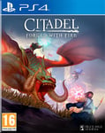 Citadel Forged With Fire PS4 PLAYSTATION 4 SOLUTION2GO