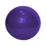 ENDLESS Ballon de Yoga Anti-éclatement de 65 cm | Ballon d'exercice en PVC épais pour Fitness, Pilates, stabilité et entraînement de Gym à Domicile | Chaise Ballon d'équilibre pour Hommes et Femmes |