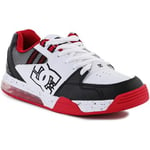 Chaussures de Skate DC Shoes  DC Versatile LE ADYS200076-WTK