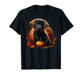 Pumpkin Labrador costume on Labrador Retriever Halloween T-Shirt