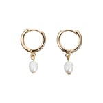 Pearl Small Hoop Øreringer, Gull