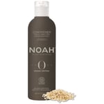 Noah Origins, Kosteuttava hoitoaine kaikille hiustyypeille, 250 ml