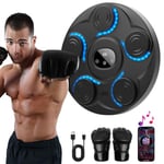 Machine de Boxe Musicale Adulte, Beatpunch Boxe Mural Musique avec Lumière LED et Le Gants de Boxe, Beat Punch Music Boxing Machine pour Adultes/Enfants, Articles d'entraînement pour Boxe Maison