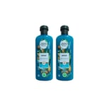 Herbal Essences Bio:Renew Argan Oil of Morocco Repairing Shampoo 400ml-Pack-2