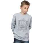 Sweat-shirt enfant Fantastic Beasts  BI16773