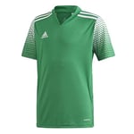 adidas Unisex Kids Regista 20 Jersey, Team Green/White, Size 176 UK