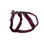 Non-Stop Dogwear Line Hundesele 5.0 Lila (2)