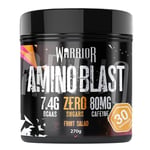 Warrior Amino Blast 270g – BCAA Powder – Branched Chain Amino Acids Supplement, Intra Workout & Recovery, Energy Drink – 30 Servings (Fruit Salad)