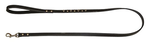 CROCI Laisse pour Chien Cuir W/Studs Noir 2,5 X 120 cm