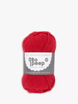 West Yorkshire Spinners Bo Peep Luxury Baby DK Yarn, 50g