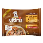 Ultima Fit & Delicious Mini Dog Adult 44 x 100 g - Kana ja nauta