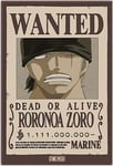 One Piece Wanted Zoro Standard Magnet