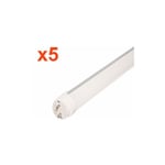 Silamp - Tube Néon led 120cm T8 36W (Pack de 5) - Blanc Froid 6000K - 8000K