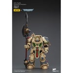 JoyToy Space Marines - Dark Angels - Deathwing Champion 1/18 - Warhammer 40K