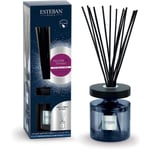 Esteban Paris Diffuseur À Bâtonnets Bouquet 200Ml Figuier & Tonka Parfumeurs