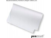 Penword Bristol Brokat 40X60cm 200Gsm Srebrny A5