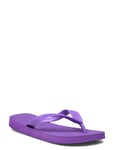 Havaianas Hav. Top Lila