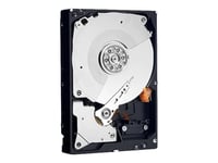 Dell - Harddisk - 12 Tb - Hot-Swap - 3.5" - Sas 12Gb/S - Nearline - 7200 Rpm - For Poweredge R440, R540, R640, R6415, R740 (3.5"), R740xd (3.5"), R7415 (3.5"), R7425 (3.5")