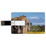 32G USB Flash Drives Credit Card Shape Wildlife Decor Memory Stick Bank Card Style Leopard Sitting on Tree Trunk with Mountain Range Journey Up Kilimanjaro Scene,Tan Blue Waterproof Pen Thumb Lovely J