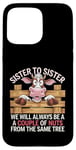 Coque pour iPhone 15 Pro Max Sister to Sister We will Aways Be A Couple of Nuts