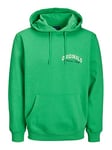 JACK & JONES Jorbrink Studio Sweat à Capuche Sweatshirt, Vert Island, XL Homme