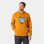 Helly Hansen Arctic Ocean Hettegenser 2.0 Herre Brun M