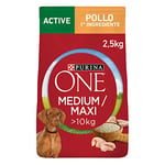 Purina ONE Medium/Maxi > 10 kg Croquettes pour Chien, 4 Sacs de 2,5 kg chacun