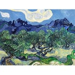 Fine Art Prints Vincent Van Gogh The Olive Trees Art Print Canvas Premium Wall Decor Poster Mural,