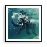 Affiche Poster 60x60cm Tableaux Image Photo éléphant animal eau Wall Art