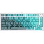 Glorious GMMK Pro 75% Custom Mechanical Keyboard Linear Switch - Silver Fern